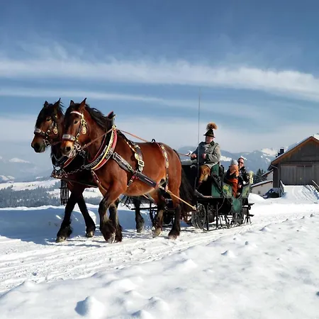 Cozy Near The Slope * Maria Alm am Steinernen Meer